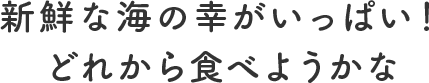 新鮮な海の幸がいっぱい!どれから食べようかな